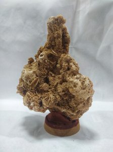 زهرة الرمال حجم كبير