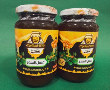 عسل السدر